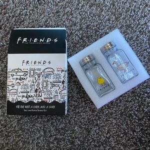 Friends TV show salt and pepper shaker set